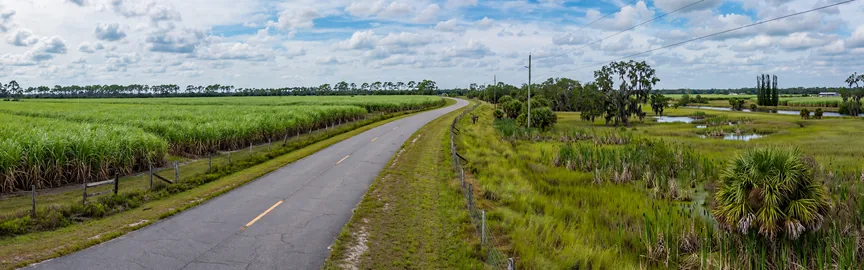 The Best Road Trips from Clewiston, Florida